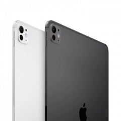 Apple iPad Pro 11" M4 (2024) Wi-Fi + Cellular 1 TБ, нанотекстурное стекло, серебристый