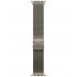 Смарт-часы Apple Watch Ultra 3, 49 мм, Natural Titanium, ремешок Milanese натуральный M