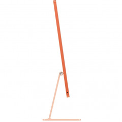 Моноблок Apple iMac (2024) 24 Retina 4.5K M4 10C CPU, 10C GPU/32GB/2Tb (Z1EW000DY) Orange