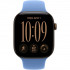 Смарт-часы Apple Watch Series 12 42mm Dark Bronze Aluminum Case with Wildflower Blue Sport Band M/L
