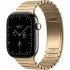 Смарт-часы Apple Watch Series 12 42mm Natural Titanium Case with Radiant Gold Link Bracelet