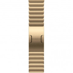Apple Watch Series 12 42mm Natural Titanium Case with Radiant Gold Link Bracelet