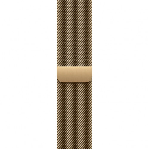 Смарт-часы Apple Watch Series 12 46mm Natural Titanium Case with Radiant Gold Milanese Loop S/M