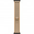 Смарт-часы Apple Watch Ultra 4 (2026) 49mm Black Titanium Case with Sand Trail Loop S/M