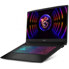 Ноутбук MSI Katana 17 B12VEK-1495XRU 17.3 IPS/ i5-12450H/16GB/1TB SSD (9S7-17L541-1495) Black