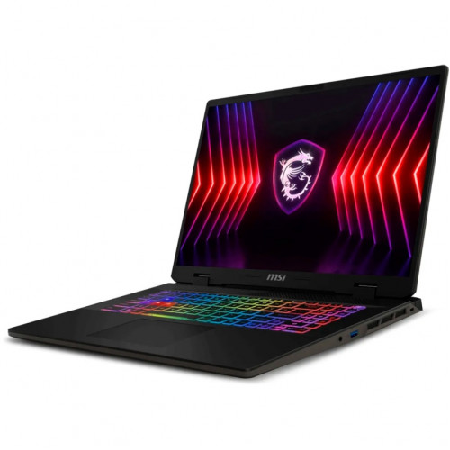 Ноутбук MSI Sword 17 HX B14VGKG-048XRU 17 QHD IPS/ i9-14900HX/16GB/1TB SSD (9S7-17T214-048) Gray