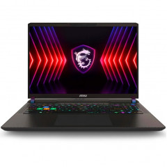 Ноутбук MSI Vector 16 HX A14VHG-831XRU 16 QHD IPS/ i9-14900HX/16GB/1TB SSD (9S7-15M142-831) Gray