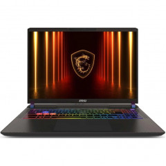 Ноутбук MSI Vector 16 HX A8WHG-033XRU 16 IPS/ R9-8940HX/16GB/1TB SSD (9S7-15MM72-033) Gray