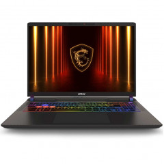 Ноутбук MSI Vector 16 HX AI A2XWIG-487XRU 16 QHD IPS/ i9-275HX Ultra/32GB/1TB SSD (9S7-15M352-487) Gray