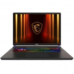 Ноутбук MSI Vector 17 GP68 HX AI A2XWIG-063XRU 17 QHD IPS/ i9-275HX Ultra/32GB/1TB SSD (9S7-17S372-063) Gray