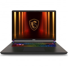 Ноутбук MSI Vector 17 HX AI A2XWIG-220XRU 17 QHD IPS/ i9-275HX Ultra/32GB/1TB SSD (9S7-17S372-220) Gray