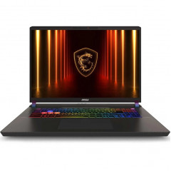 Ноутбук MSI Vector 17 HX AI A2XWJG-099XRU 17 IPS/ i9-275HX Ultra/32GB/1TB SSD (9S7-17S372-099) Gray