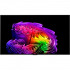 Телевизор LG OLED55G6RLA.ARUG 55' 2026